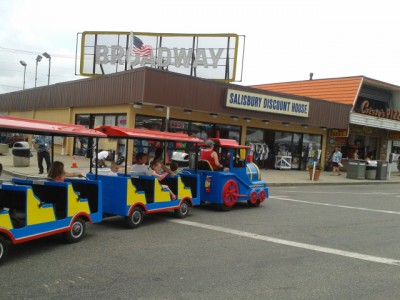 Roaming Railroad Trackless Train