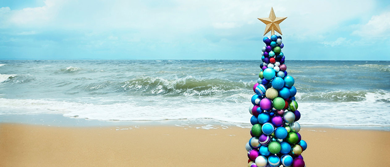 Sea Festival of Trees Salisbury Beach Events and Festivals